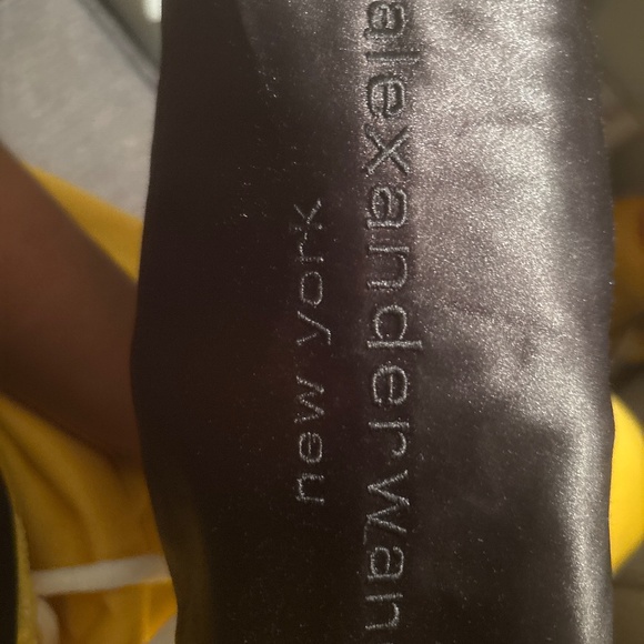 Alexander Wang Purse - Picture 1 of 4